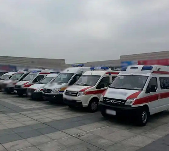 罗城服务车队展示